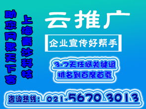 青沙網絡科技對互聯網推廣的概念與要點深度剖析